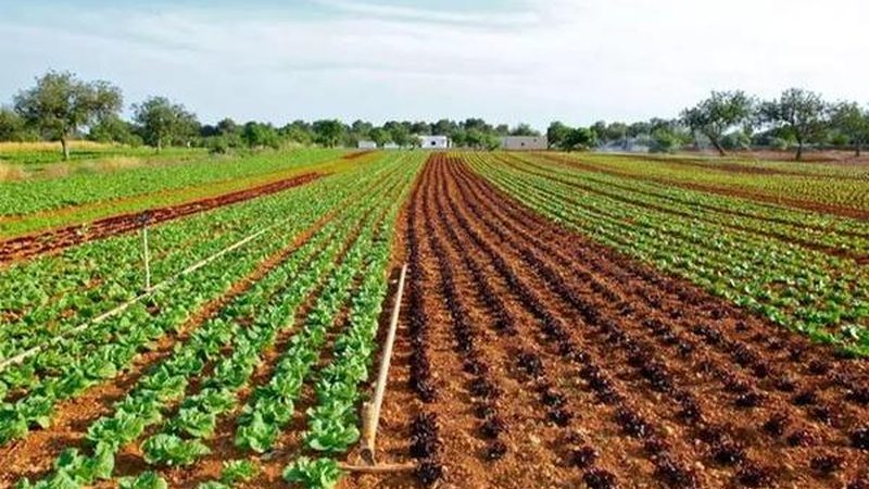 果蔬配送合同范本2024：构建稳定供应链的关键