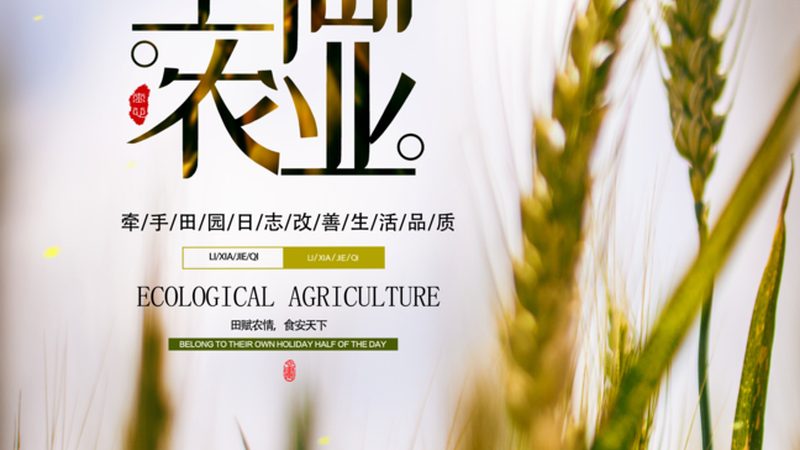 农业产业园灌溉系统PE管：关键部件，价格与性能如何权衡？**