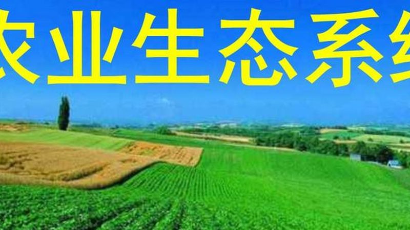 设施农业设备：剖析其优缺点，助力科学选择