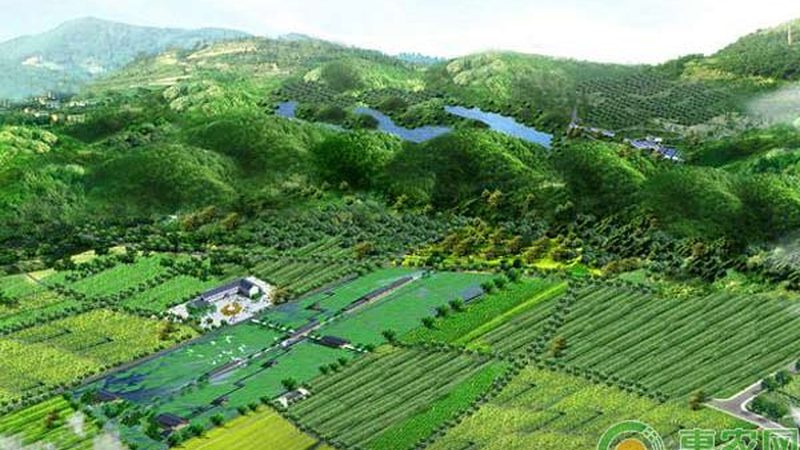 家庭农场民宿改造，如何打造宜居生态空间？**