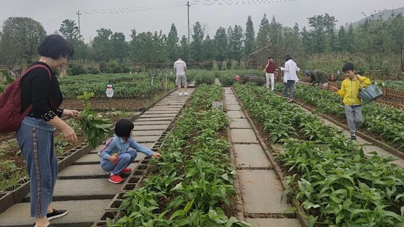 选型标准：关注核心要素
