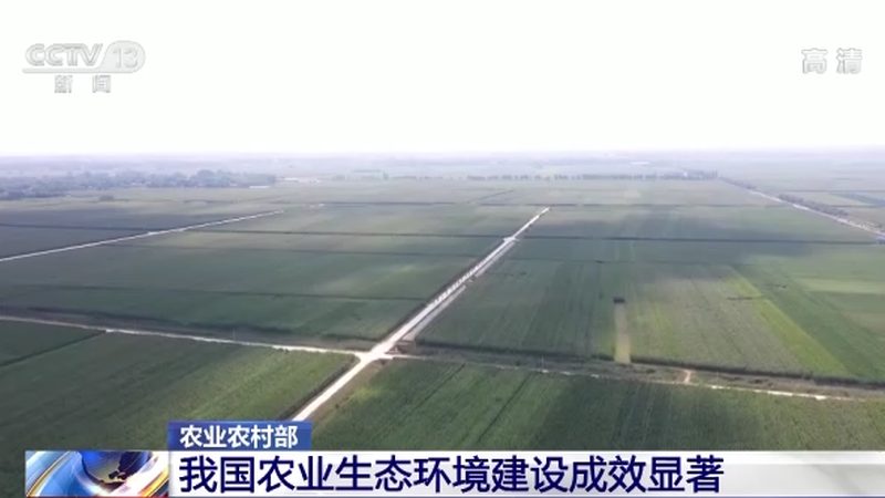 大棚蔬菜种植技术培训课程：提升种植效率的关键**