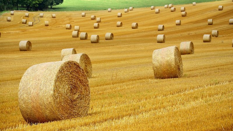 避坑指南：如何识别不靠谱平台