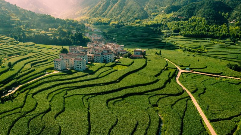 家庭农场主必备：种植技术培训课程全解析**