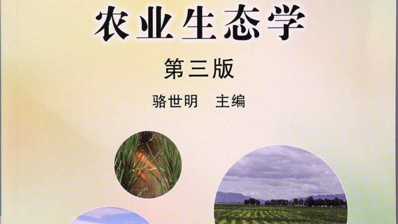阳台种菜，有机肥与化肥的微妙之别