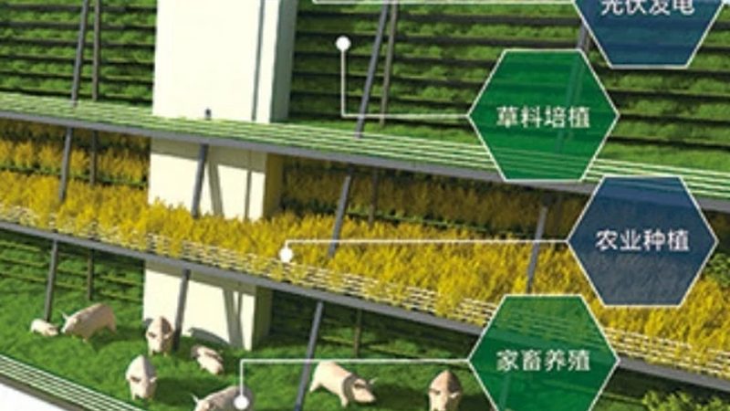 注销合作社，这些条件你了解吗？**