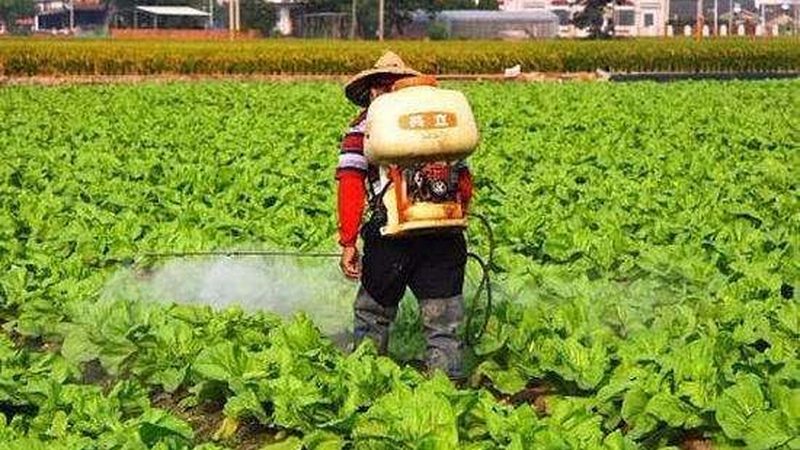 农村创业项目加盟报价
